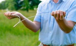 Dowsing: A Time-Honored Method of Finding Water and More