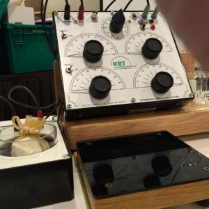 Spark of Life Fidelity